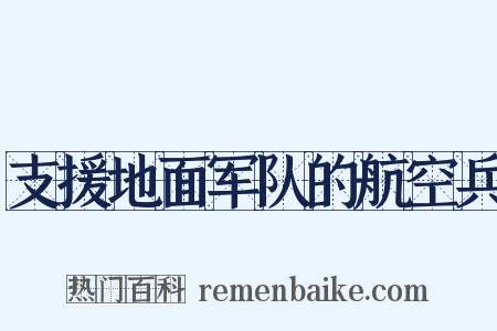 支援地面军队的航空兵是什么意思的图片